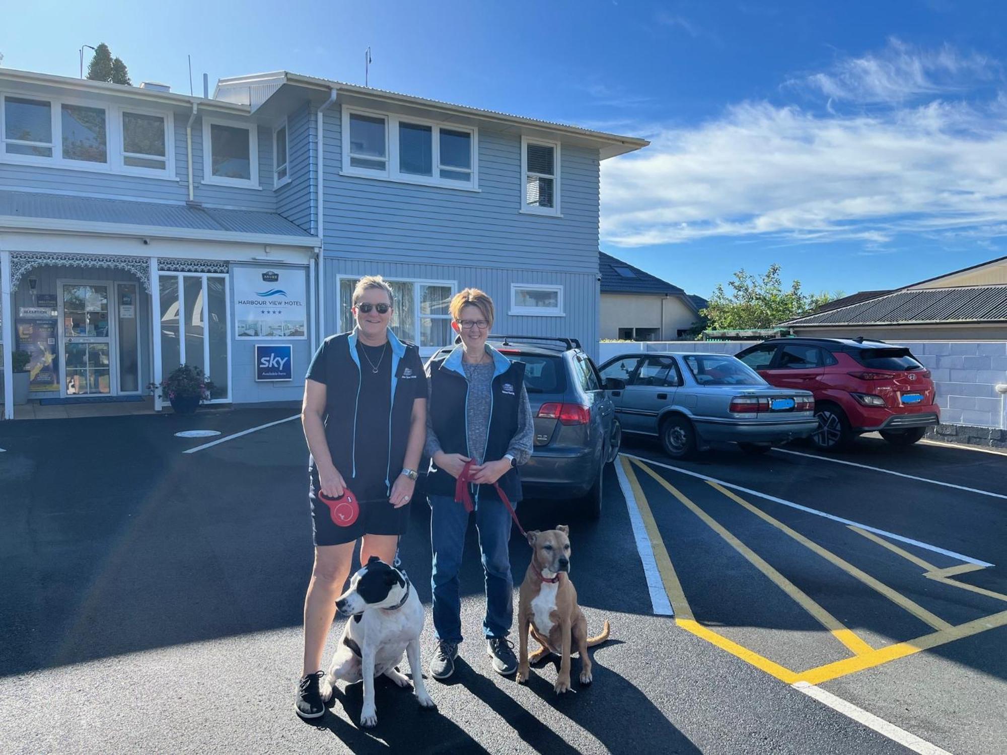 Harbour View Motel And Waterfront Apartments Tauranga Extérieur photo